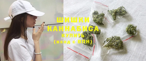 ГАЛЛЮЦИНОГЕННЫЕ ГРИБЫ Осинники