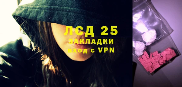 ГАЛЛЮЦИНОГЕННЫЕ ГРИБЫ Осинники