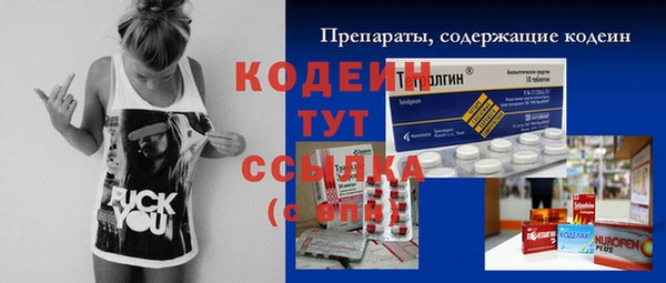 ГАЛЛЮЦИНОГЕННЫЕ ГРИБЫ Осинники