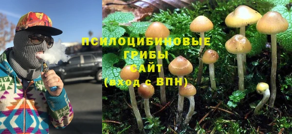 гашик Осташков