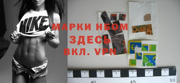 ГАЛЛЮЦИНОГЕННЫЕ ГРИБЫ Осинники