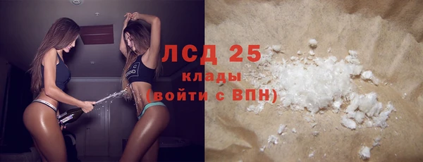ГАЛЛЮЦИНОГЕННЫЕ ГРИБЫ Осинники