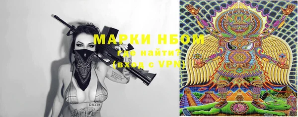 гашик Осташков