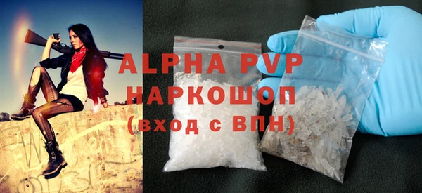 ГАЛЛЮЦИНОГЕННЫЕ ГРИБЫ Осинники