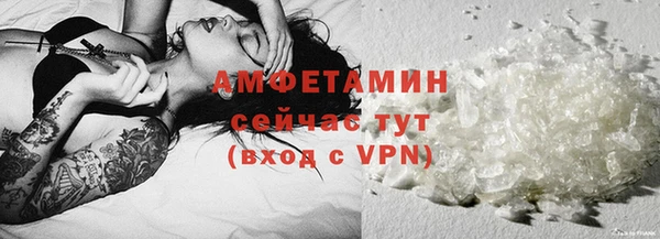 гашик Осташков