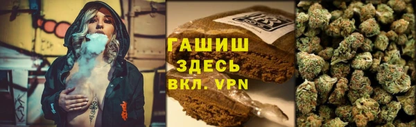 гашик Осташков