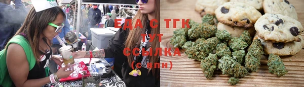 ГАЛЛЮЦИНОГЕННЫЕ ГРИБЫ Осинники